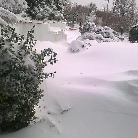 Villa синя иглика