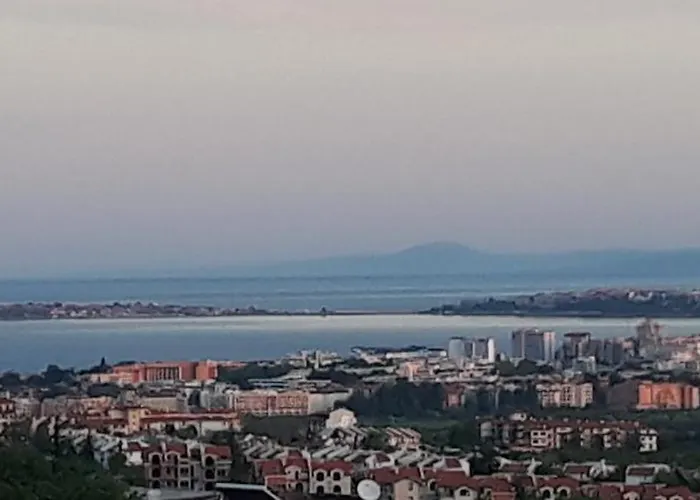 Вилла синя иглика Кошарица