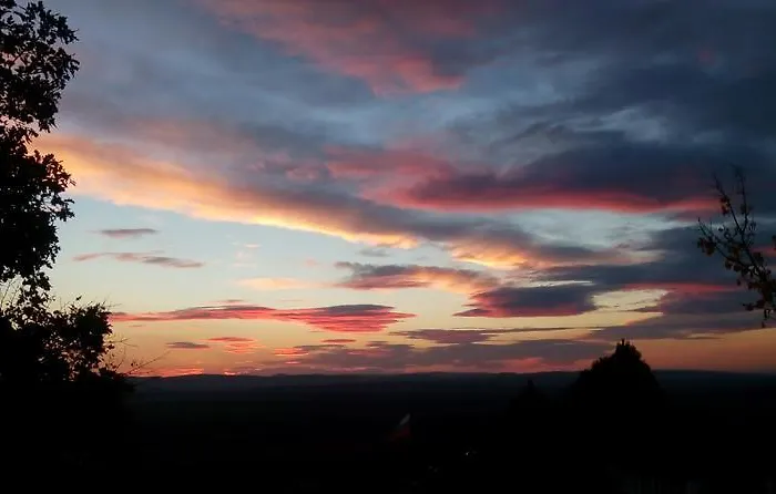 синя иглика Вилла Кошарица