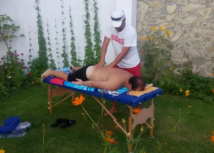 Вилла синя иглика