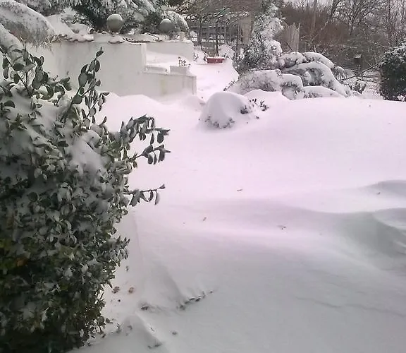 Вилла синя иглика